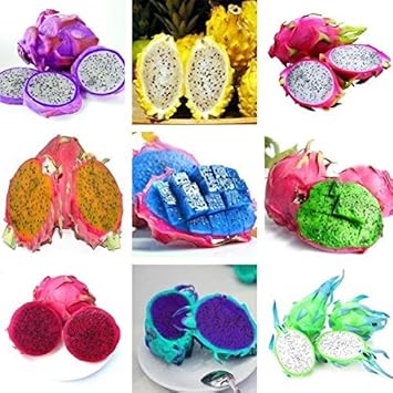 Fresh Pitaya Fruit Seeds Easy to Grow Mixed 100 pcs